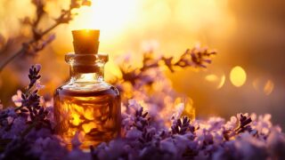 Der synergetische Effekt von Duft und Gedanken: Ultimative Entspannung durch das Gesetz der Anziehung und Aromatherapie